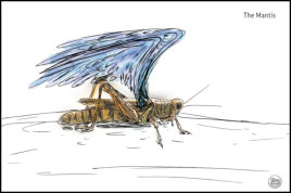 Animation