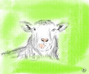 Animation